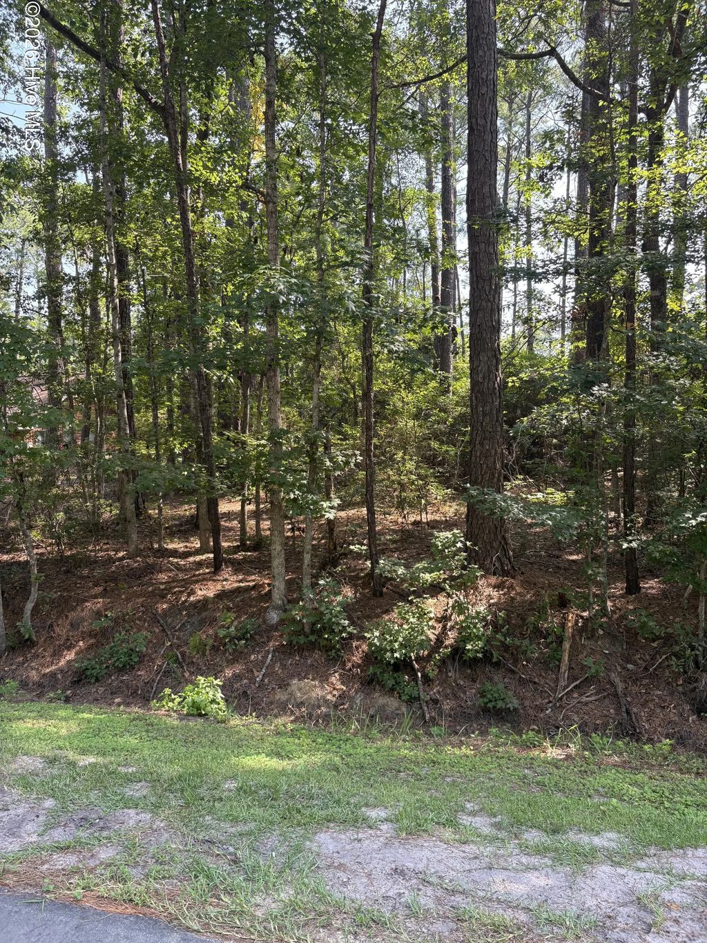 13 Myrtlewood Drive Sw, Calabash