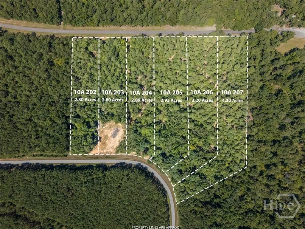 0 Winding Ridge Drive, Tignall