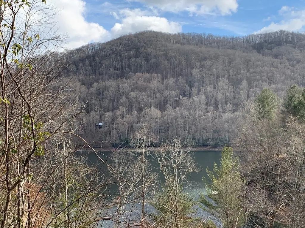 Lot # 11 Forest Vista Lane, Topton