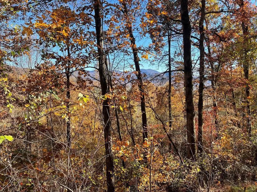 36 54c Ash Branch Circle, Hayesville