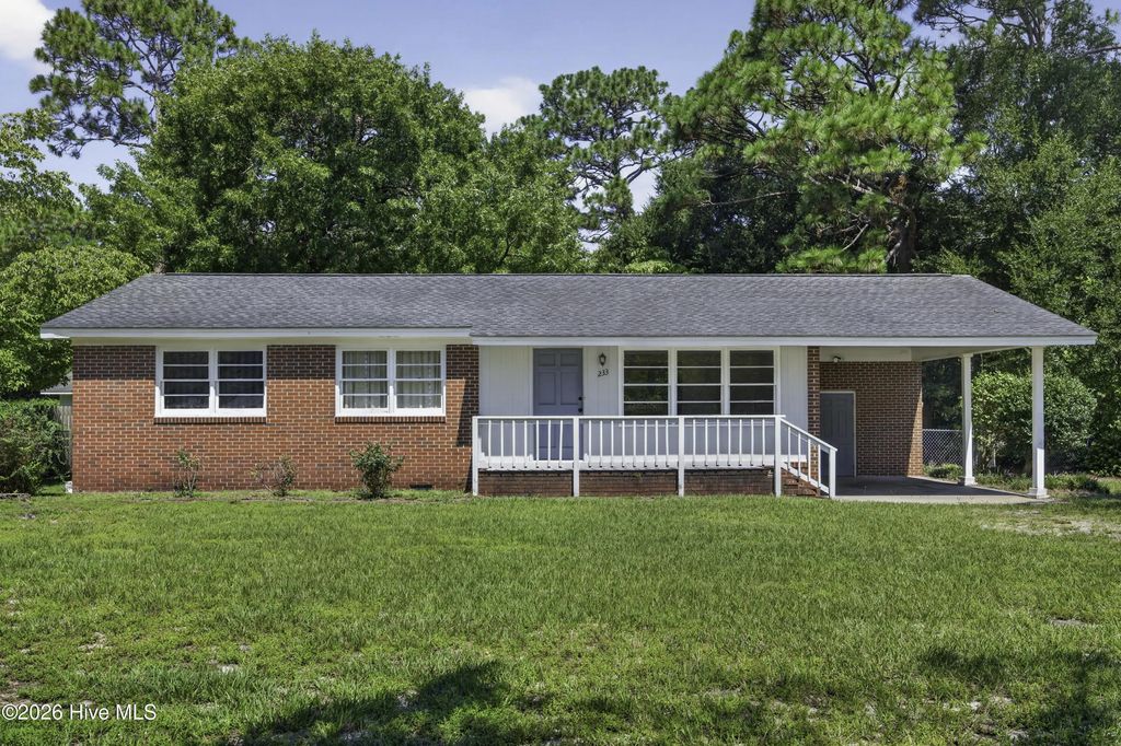 233 Long Leaf Acres Drive, Wilmington