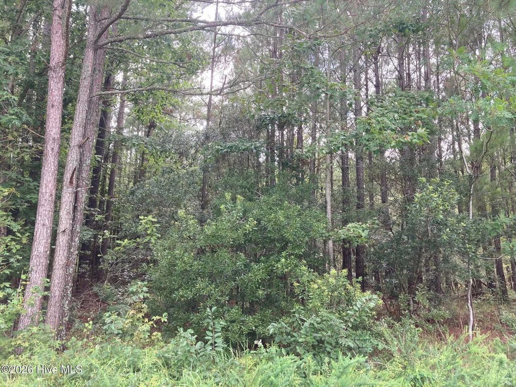 Lot # 33 33 Pine Crest Road, Bath