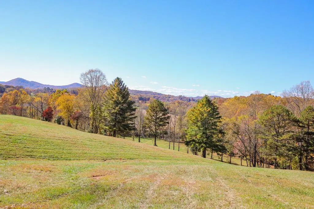 Lot 8 Hinton, Hayesville