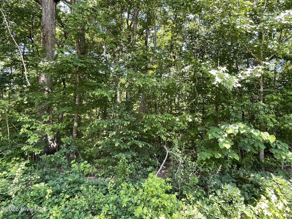3 Shady Lane, Burlington