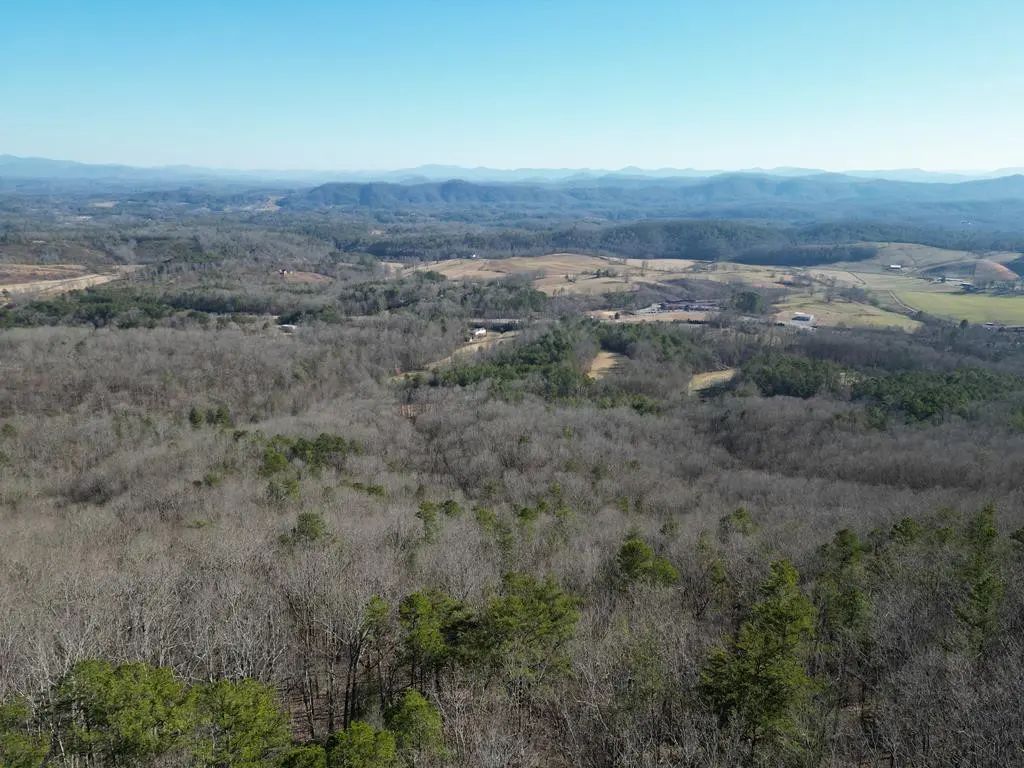 20.05 Ac Treehouse Trail, Ranger