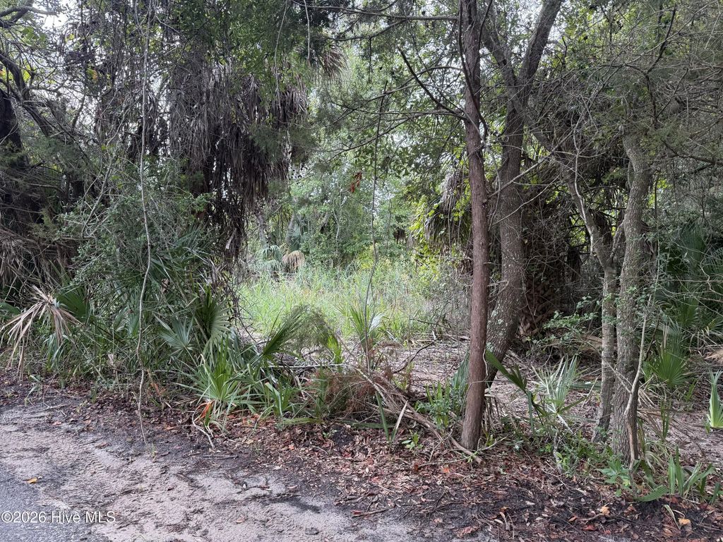 12 Captain Charlies Court, Bald Head Island