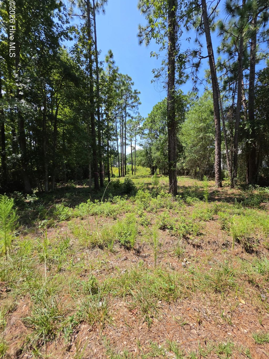 44 Pine Shores Drive, Southport