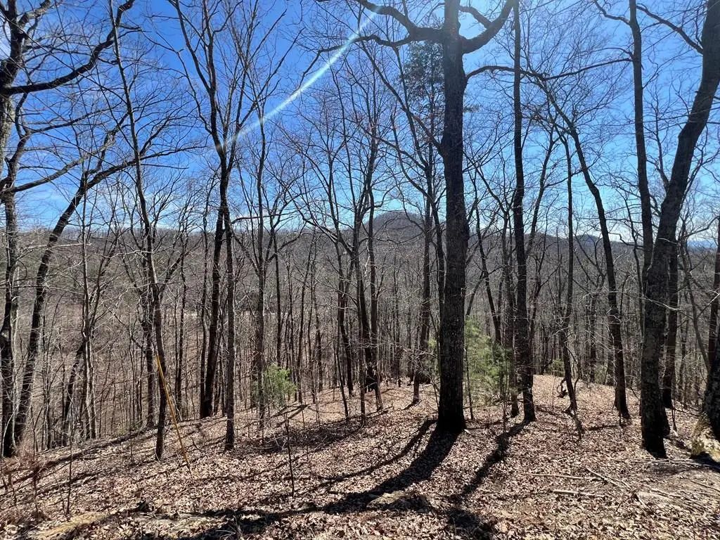 Lot 17 Panorama Dr Wolf Mountain Estates, Murphy