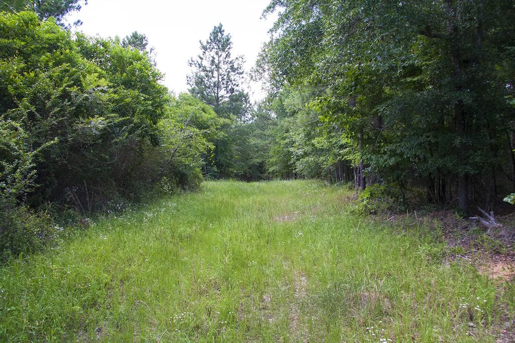 1515d Hephzibah - Mcbean Road, Richmond