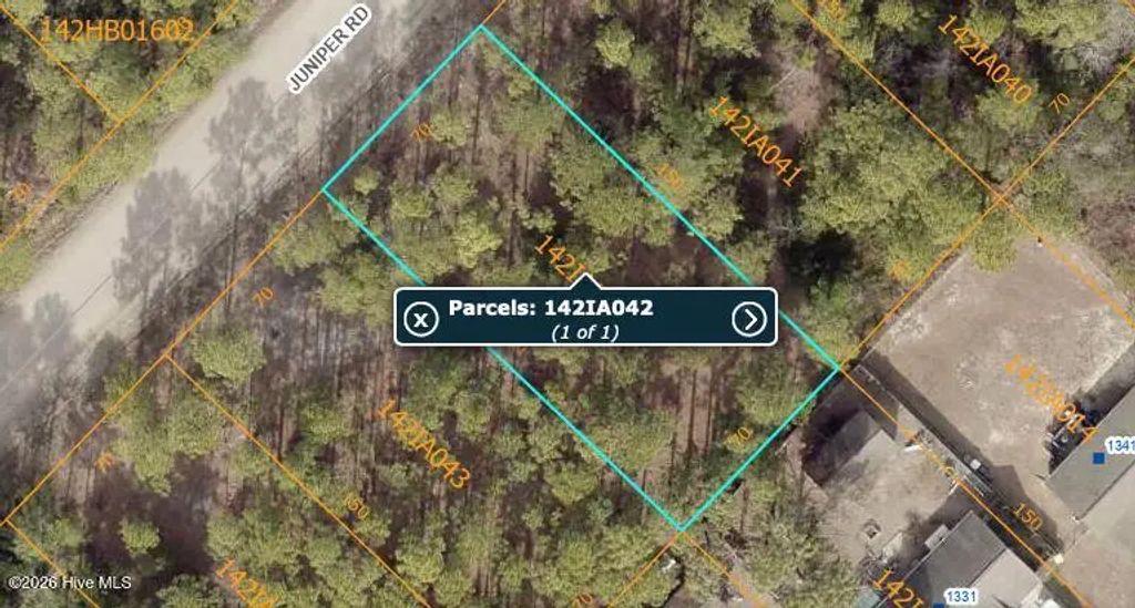 Lot 45 Juniper Road, Boiling Spring Lakes