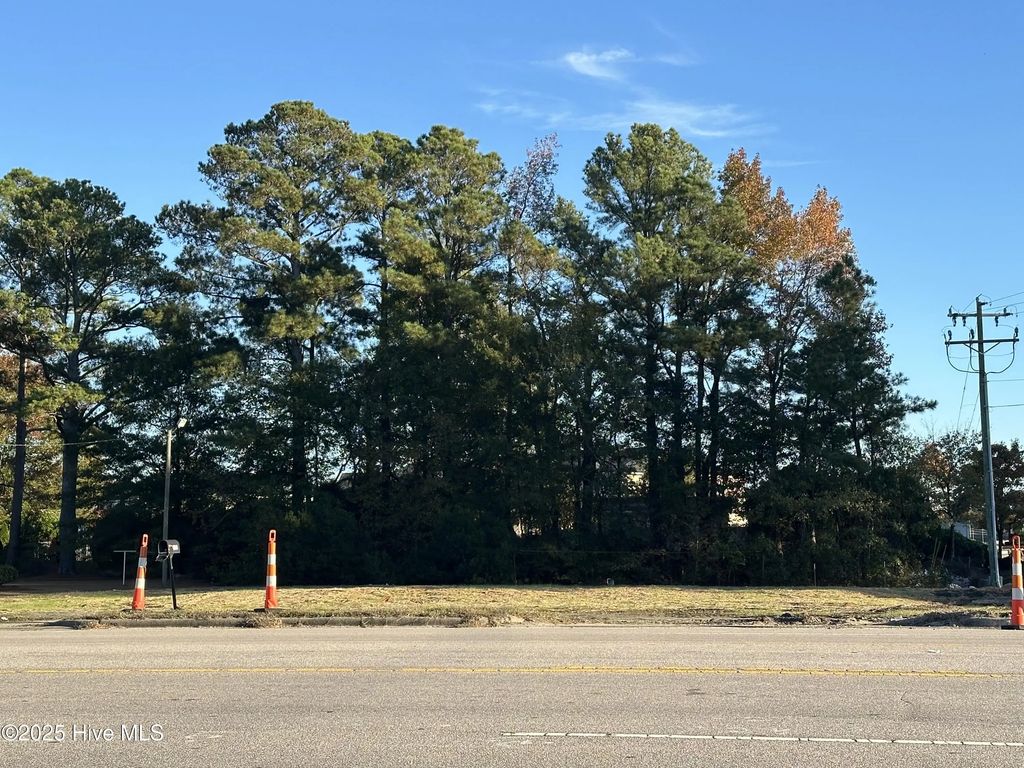 1402 N Berkeley Boulevard, Goldsboro
