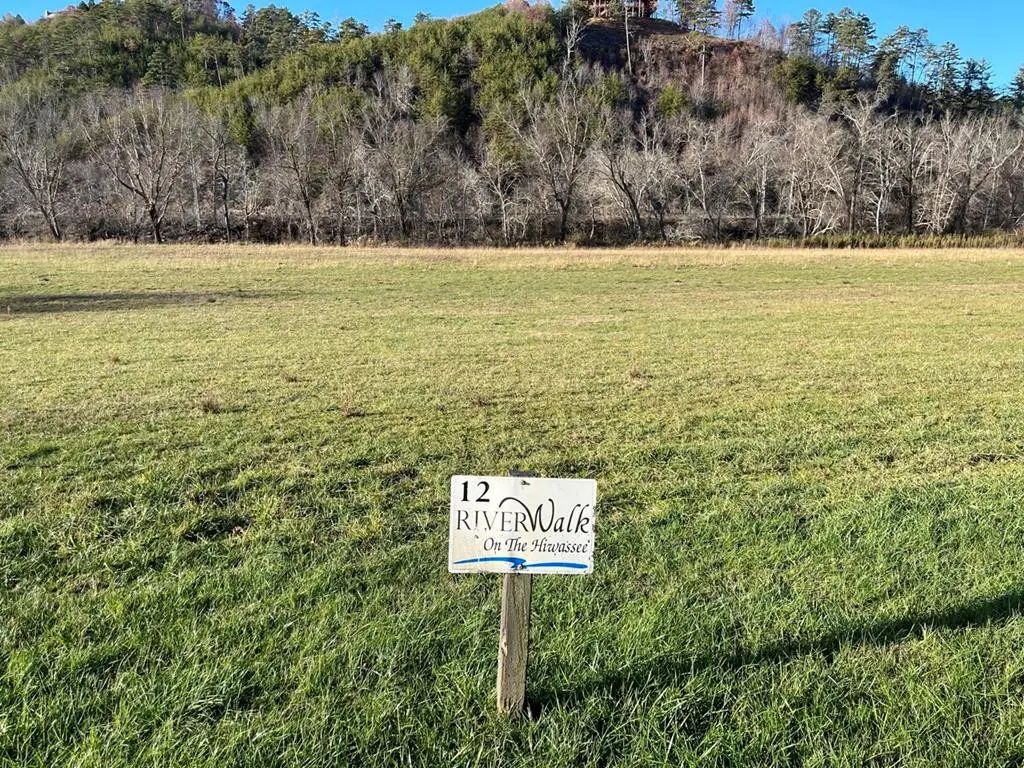 Lot 12 Harshaw Farm Drive, Murphy