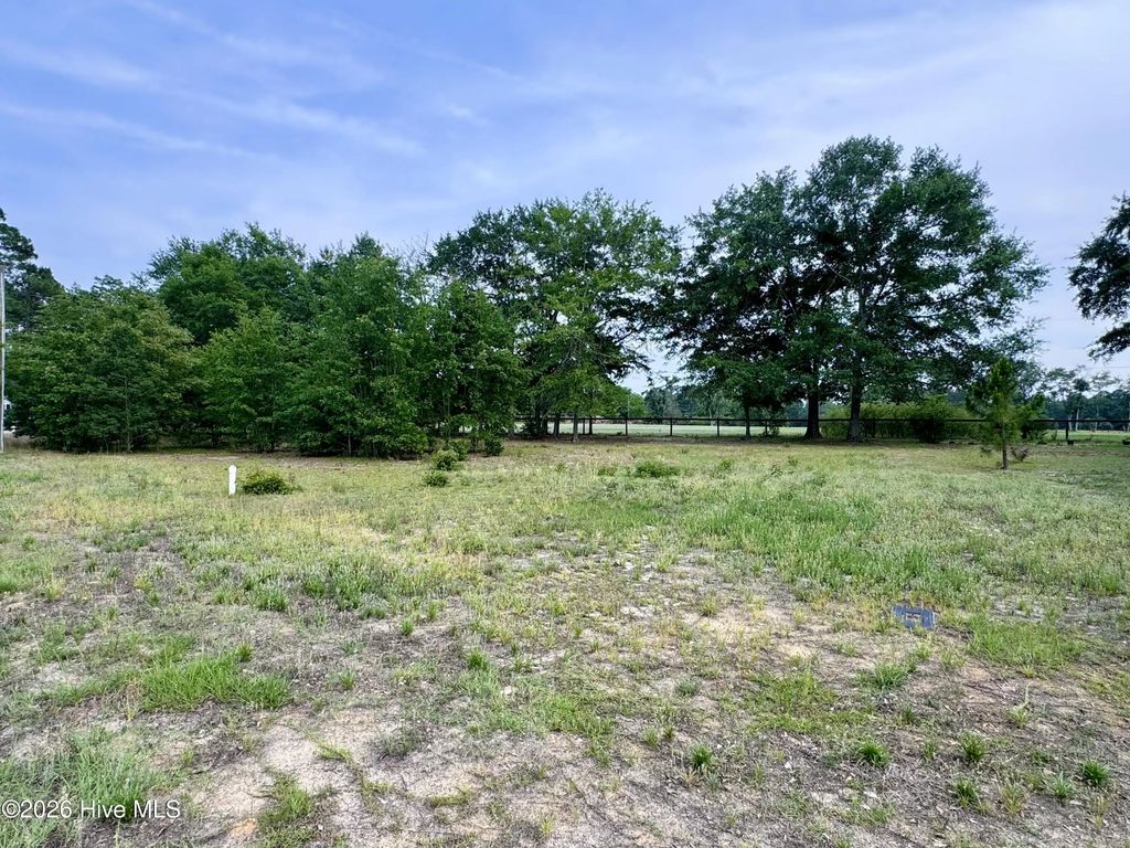 12340 Mallard Creek Drive, Laurinburg