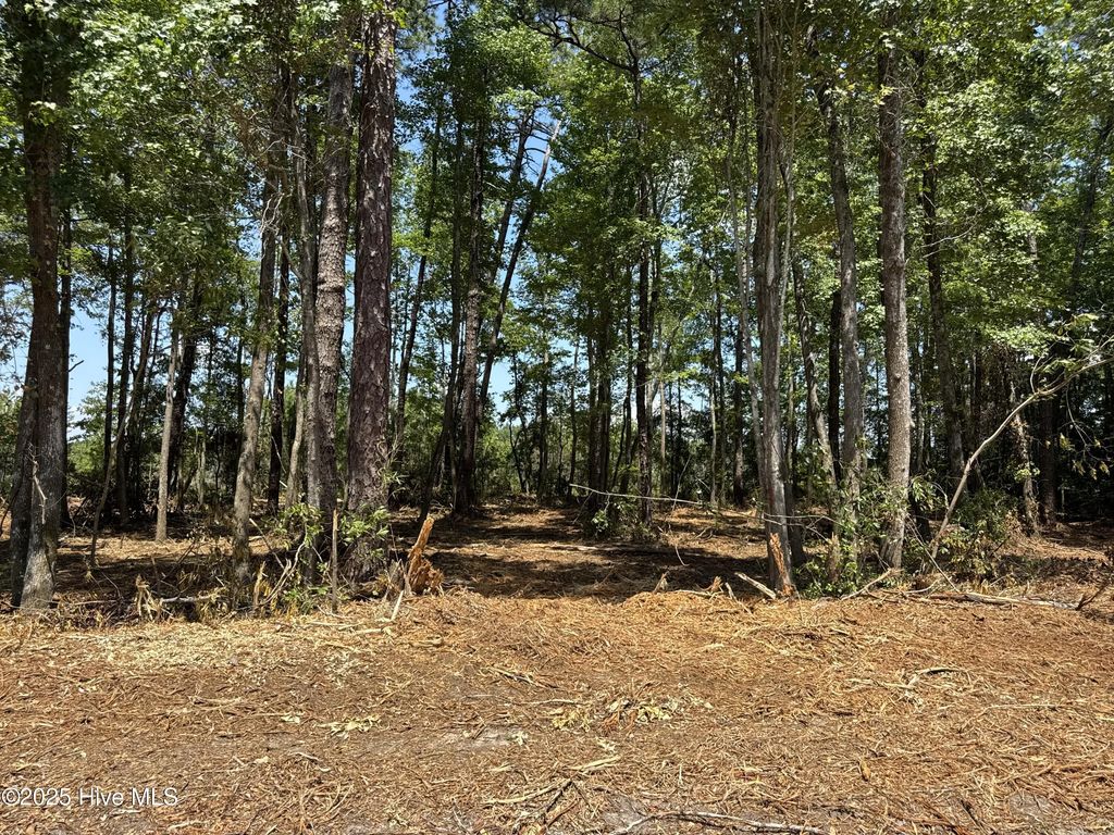Lot 4 Near 4102 Swamp Fox (lot 4) Highway W, Tabor City
