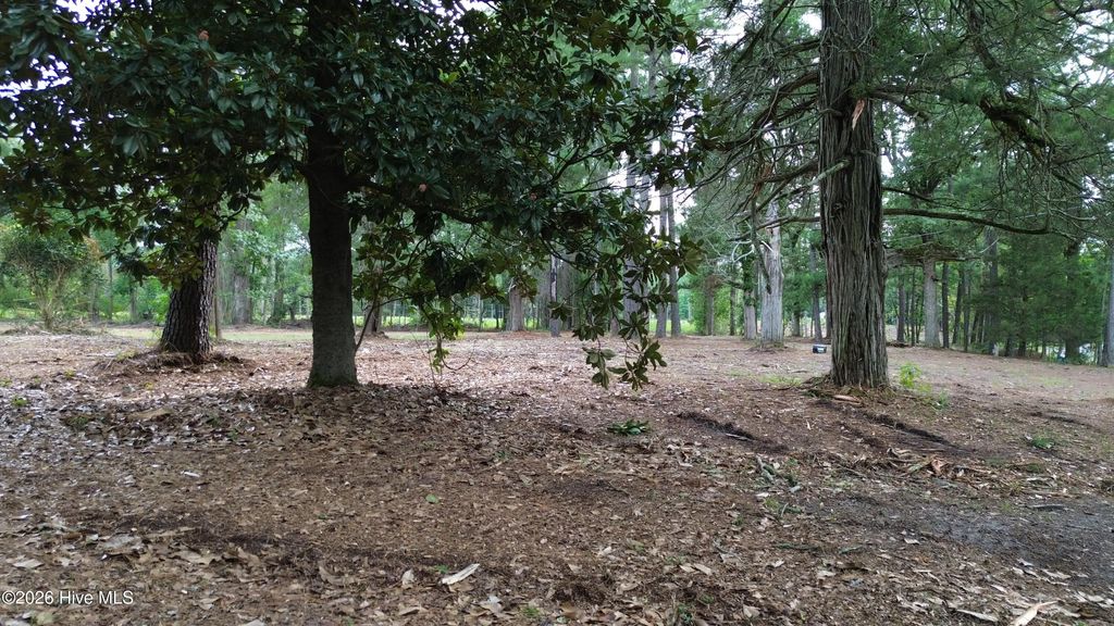 Tbd/lot 3 Elmore, Laurinburg