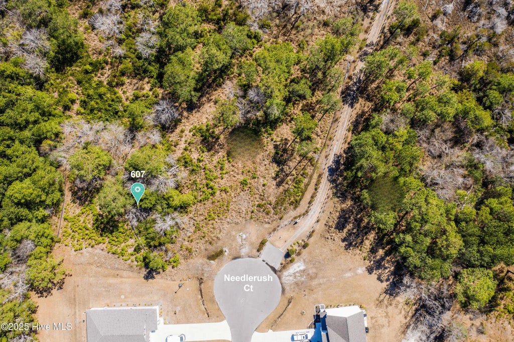 607 Needlerush Court, Sneads Ferry