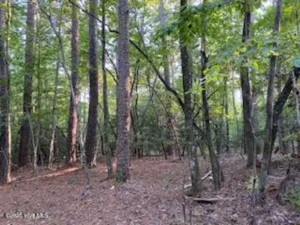91a Palomino Road, Carthage