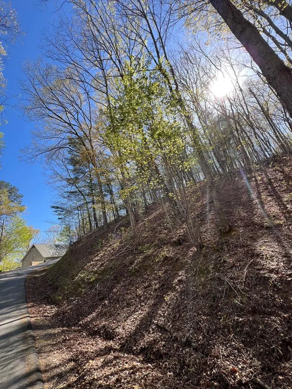Lot 2 Lonesome Pine, Bear Paw