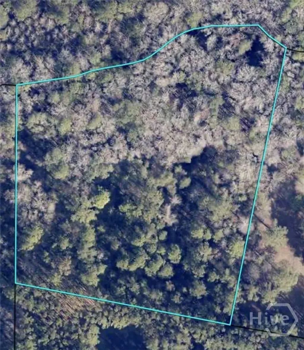 0 Honey Dew Lane, Brooklet
