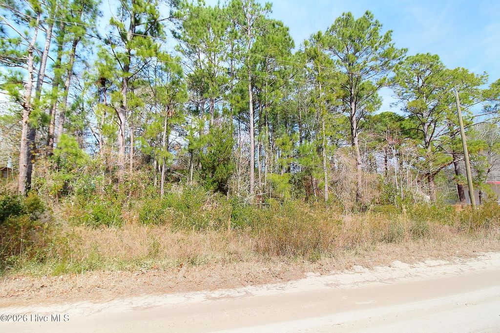2890 Bird Drive Sw, Shallotte