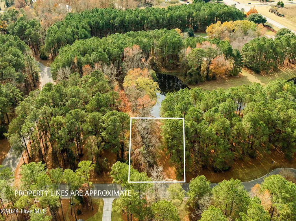 111 Loblolly Court, Wallace