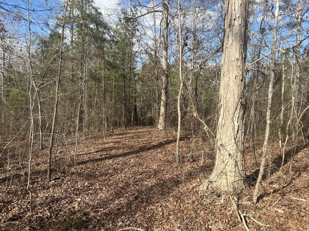 265 Lost Pond Lane, Appling