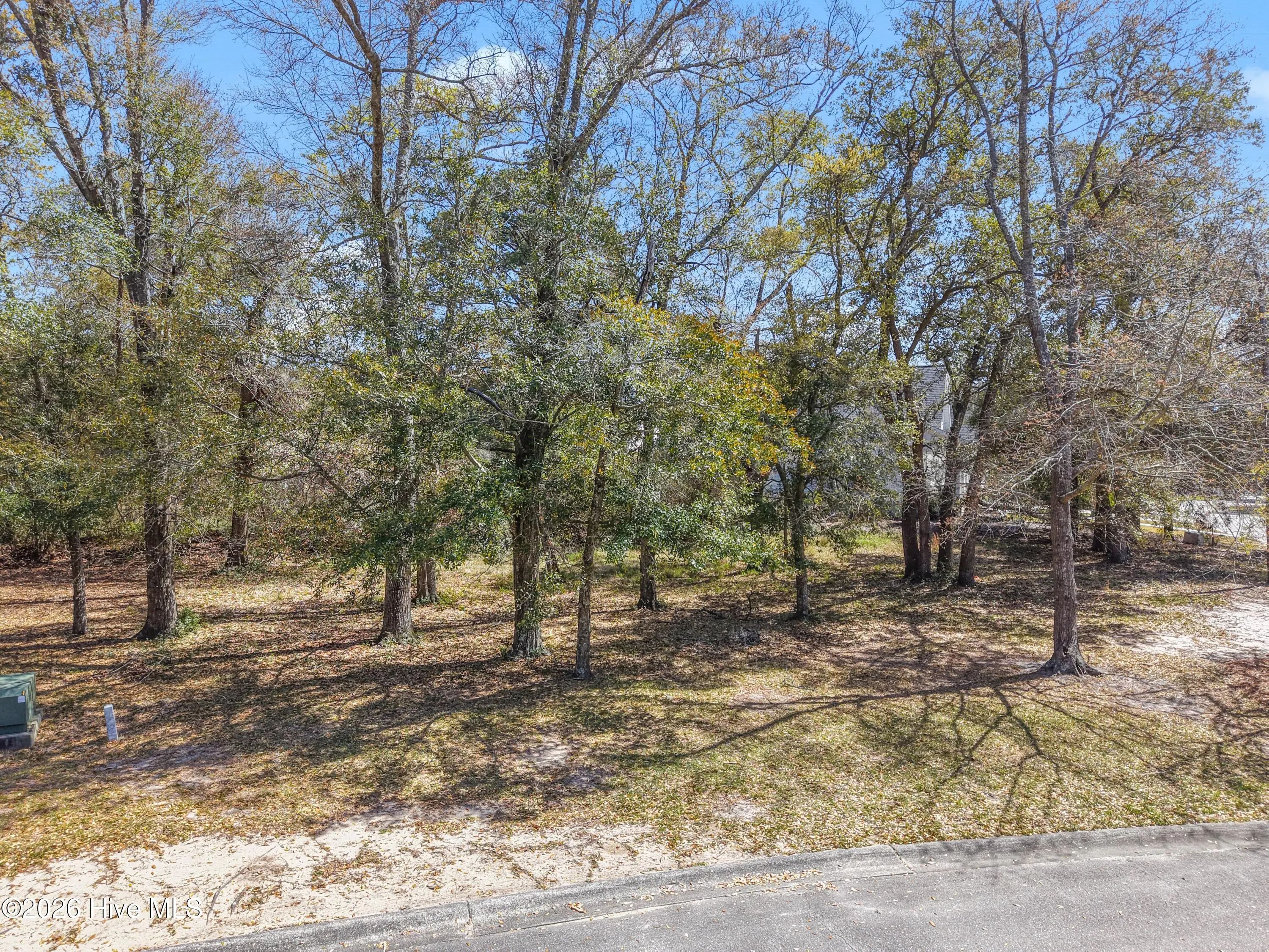 714 Skipjack Circle, Southport