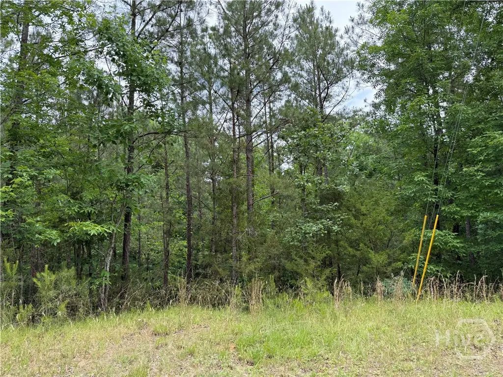 Lot 51 Bramlett Cr, Elberton