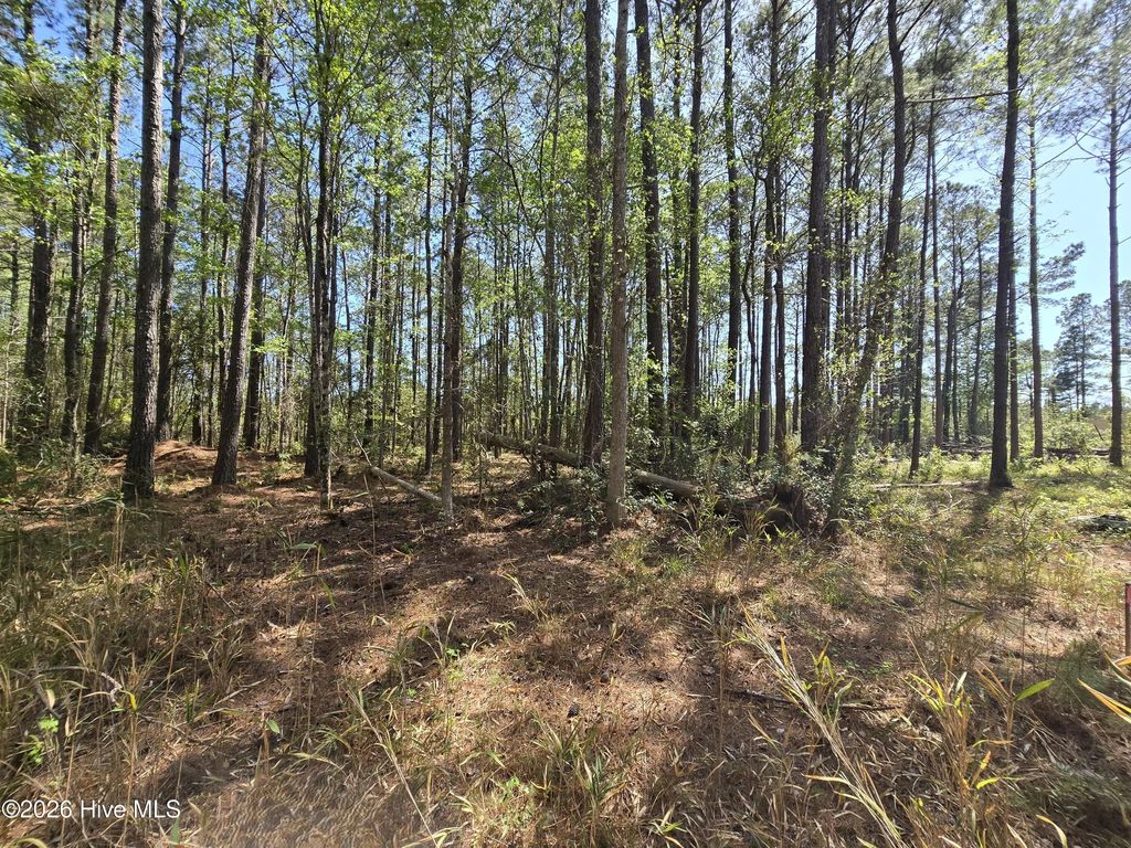 Lot B Renee Drive, Hampstead