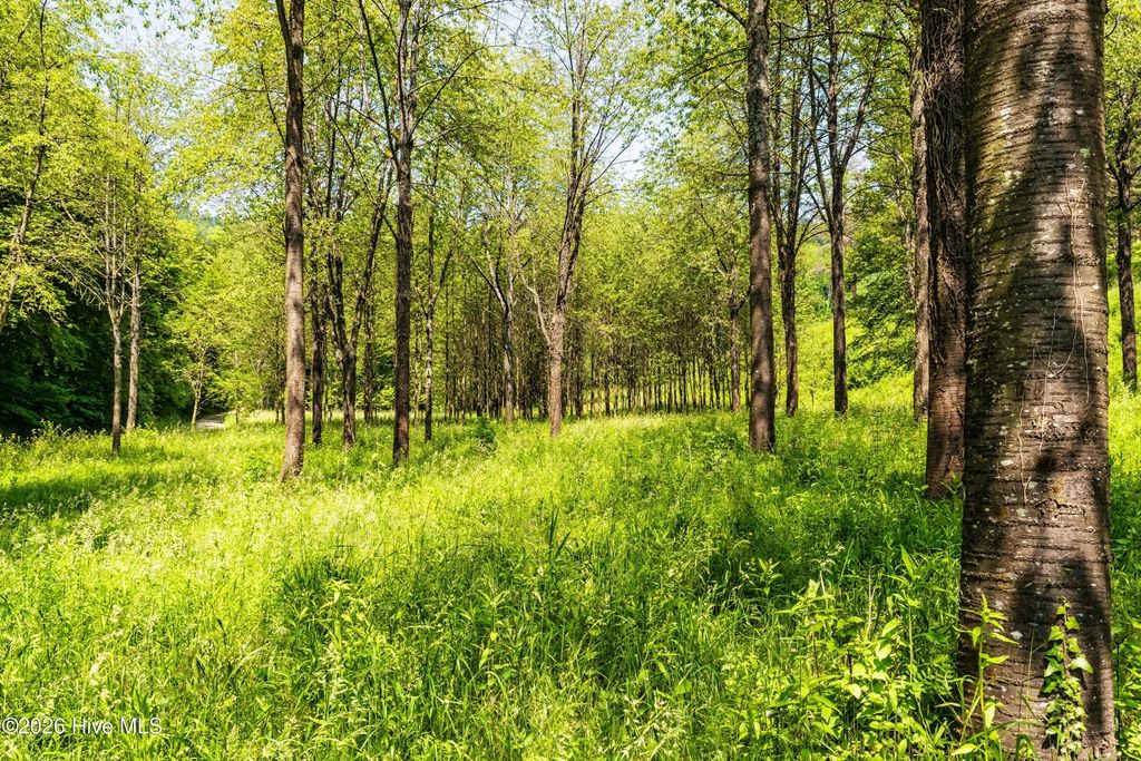 4197 Adams Chapel Road, Dearing