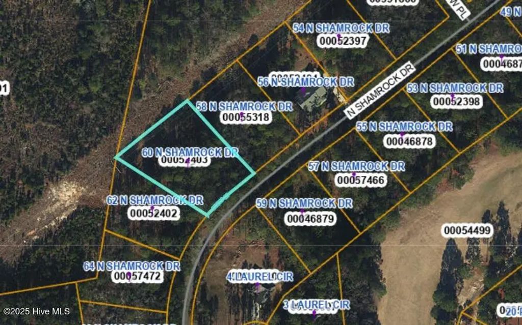 60 N Shamrock Drive, Jackson Springs