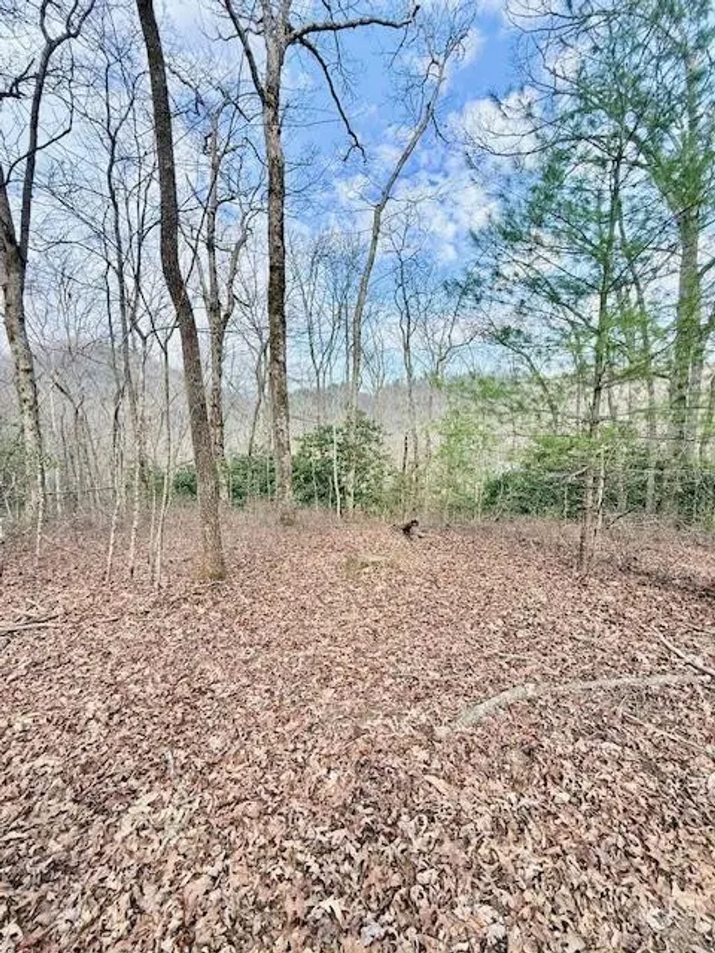 00 Pleasant View, Stecoah