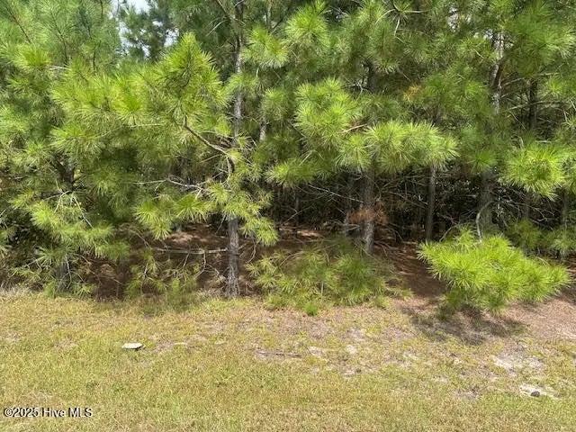 N/A, Jackson Springs