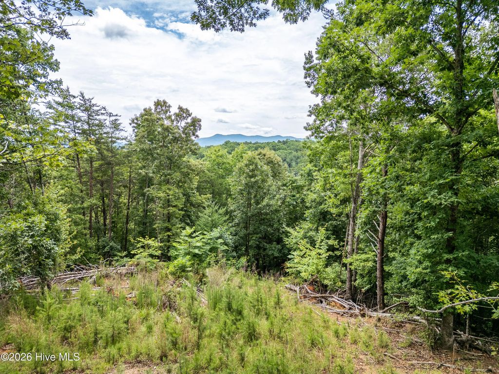 1 Stormy Ridge, Brasstown
