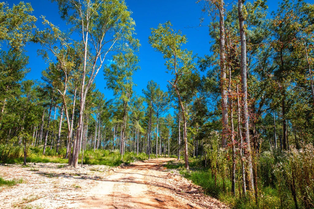 575 Rabbit Pen Drive, 