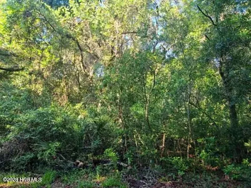 54 Fort Holmes Trail, Bald Head Island