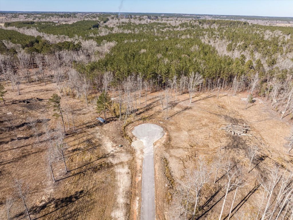 170 Alcovy Road, McDuffie