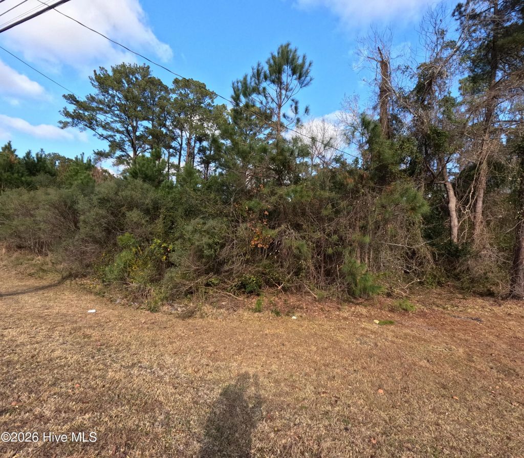 353 Piney Green Road, Jacksonville