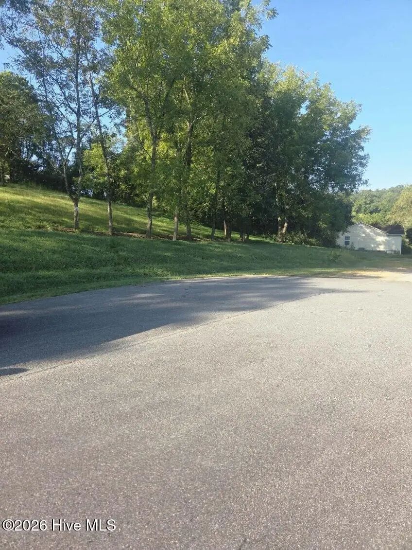 Lt 23 Mcglamery Farm Drive, Hayesville