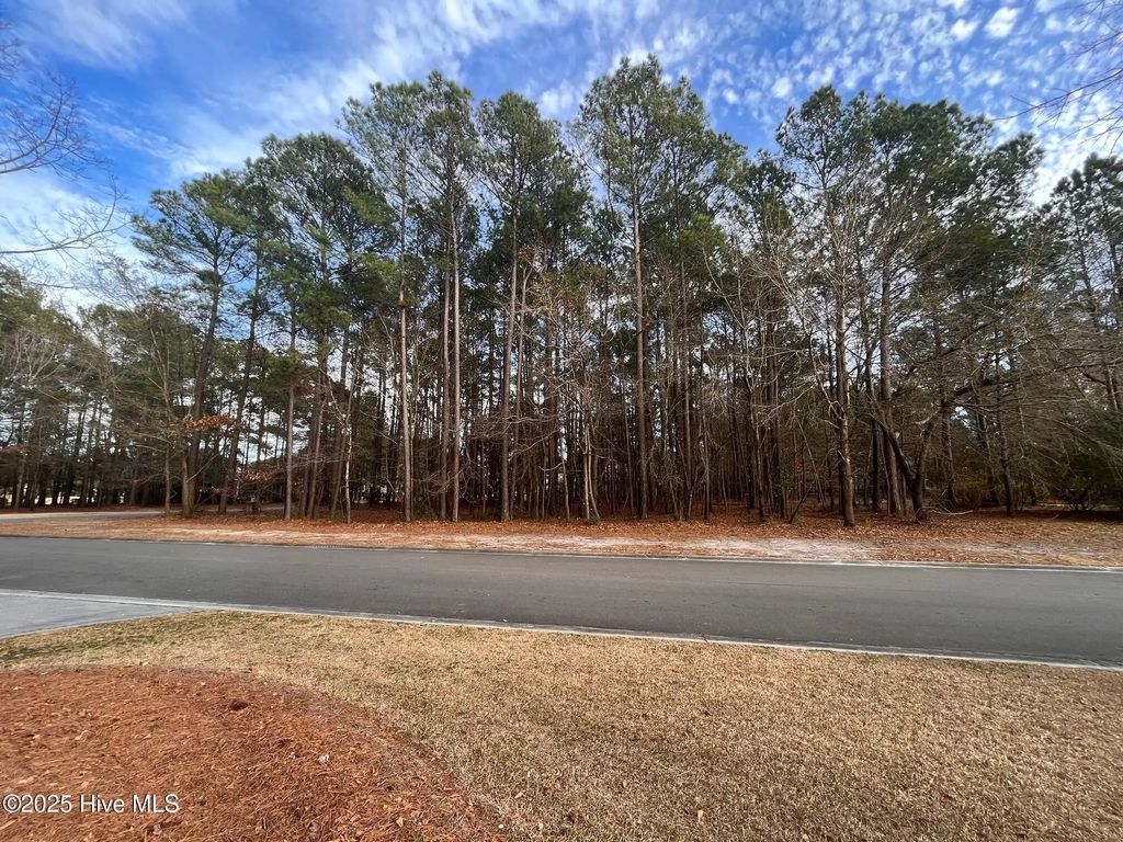 264 Red Fox Run Drive, Wallace