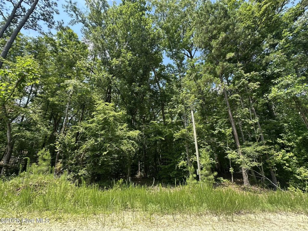 Lot 17 Lakeshore Estates Drive, Lincolnton