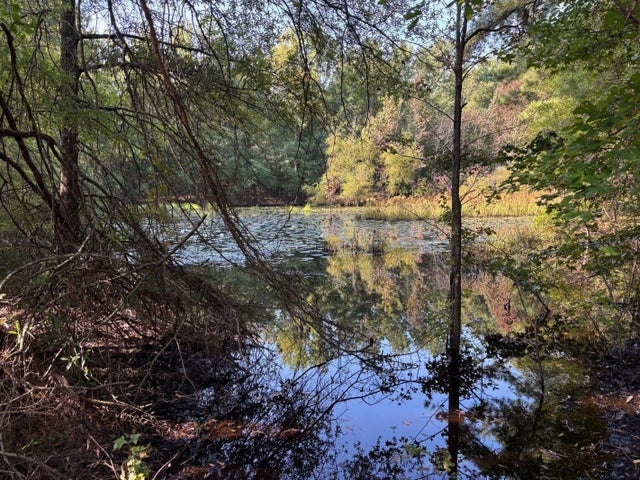 1460 Whitetown Road, 