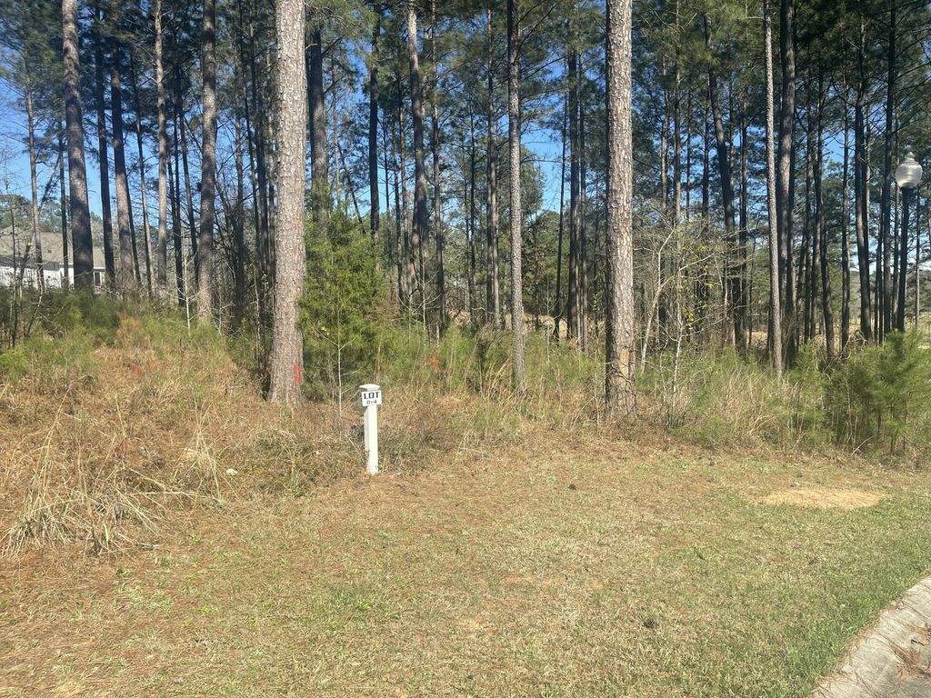 Lot O-4 Budwell Court, Edgefield