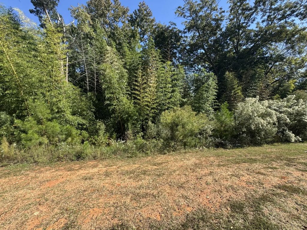 0 E Robinson Avenue, Columbia