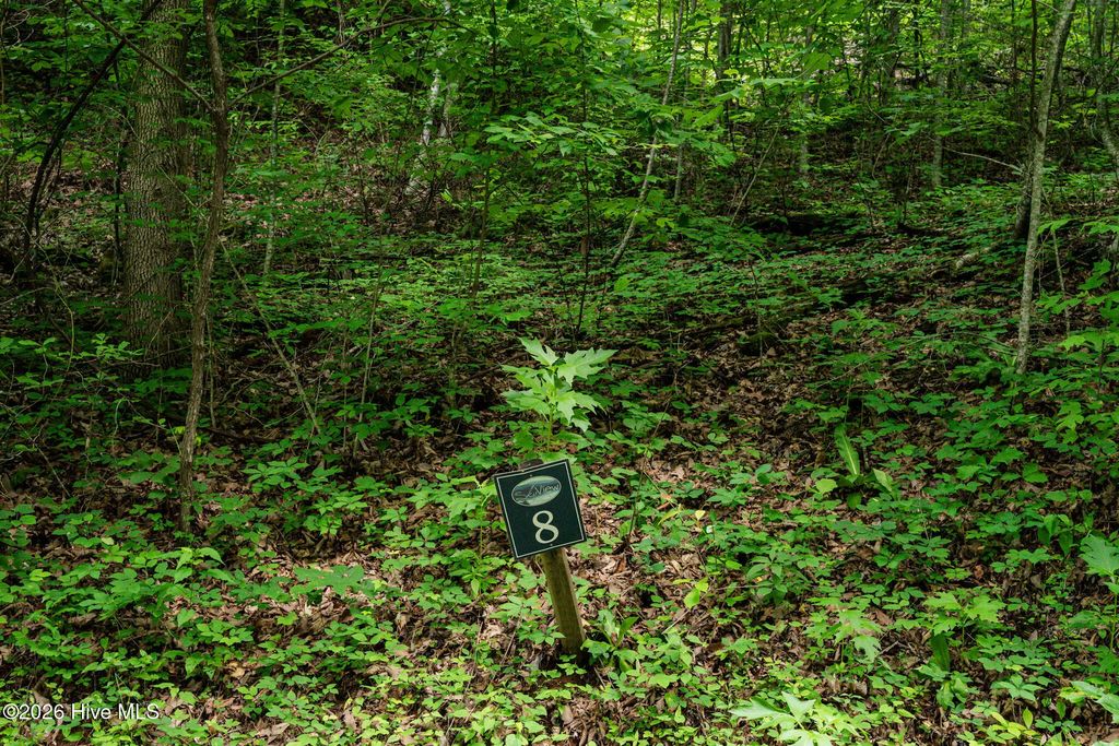 Lot 8 Skyview Drive, Shooting Creek