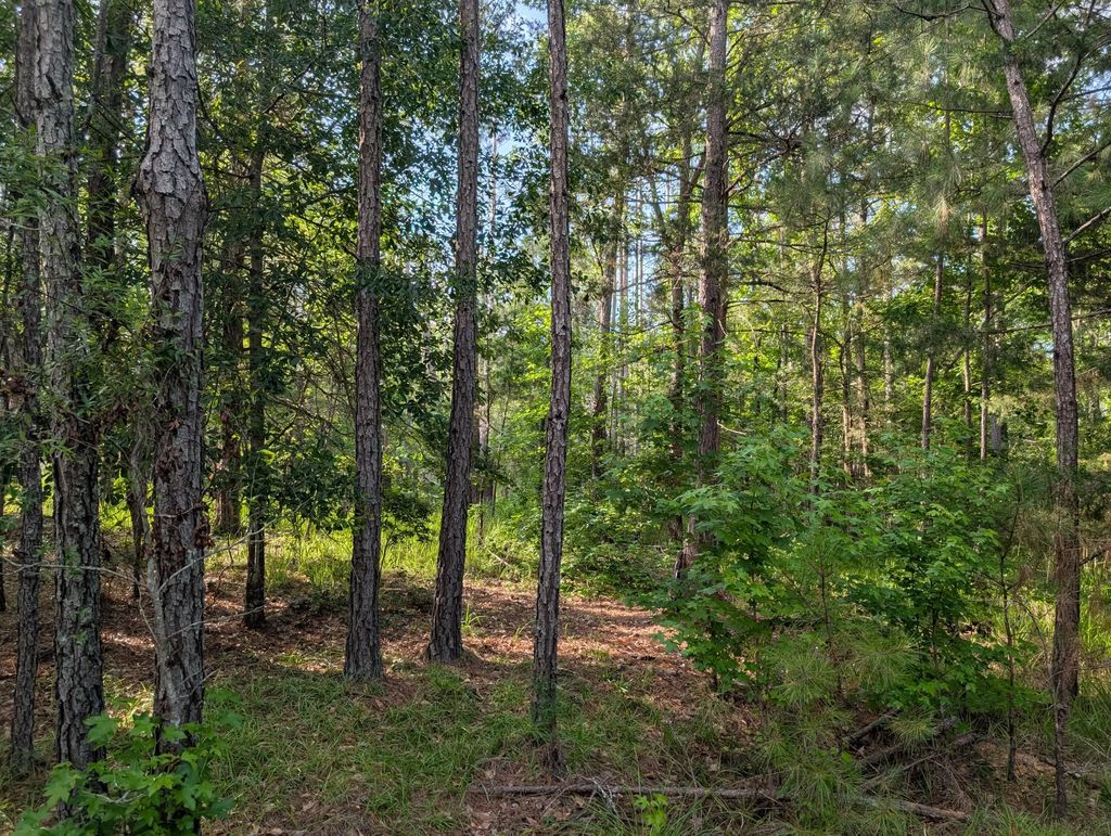 3079 Marshall Road, Columbia