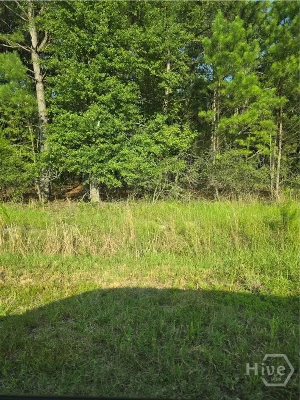 3131 Okatie Hwy, Bluffton