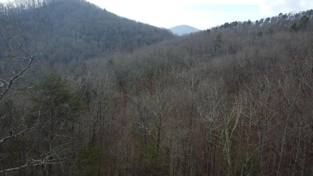 300 Jernigan Court, Hiwassee Dam