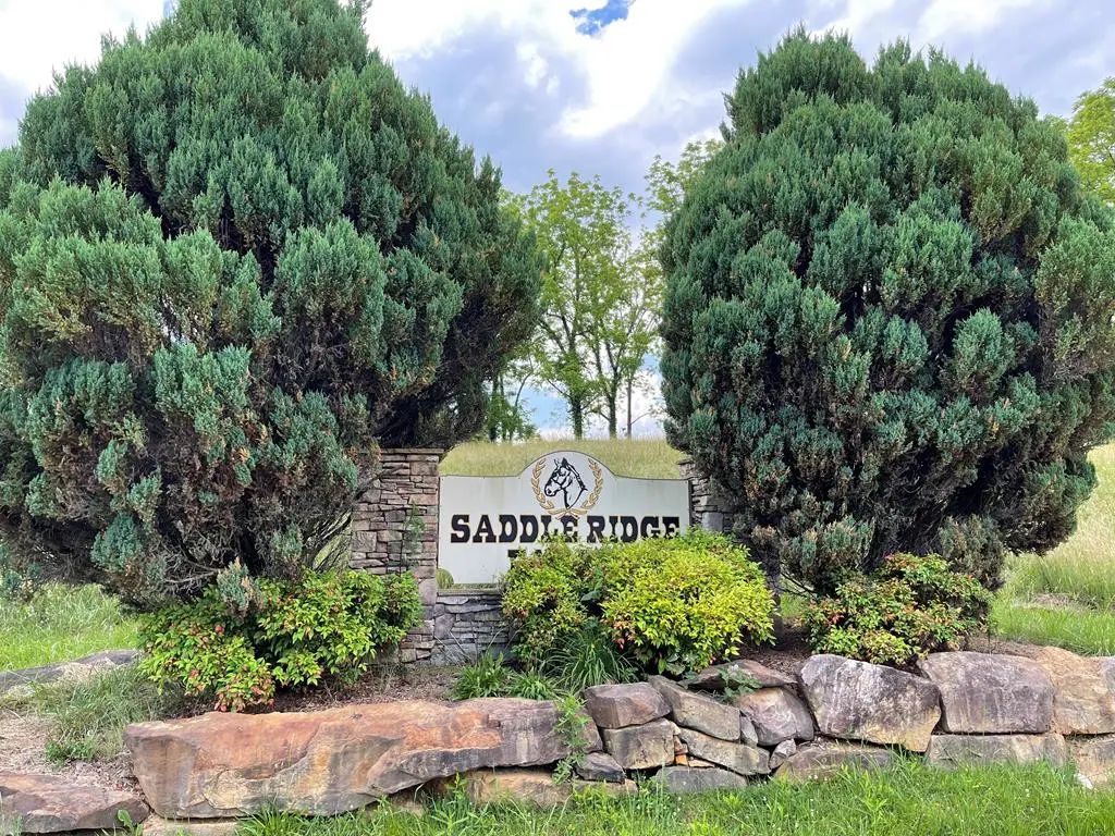 14b Saddle Ridge Farms, Hayesville