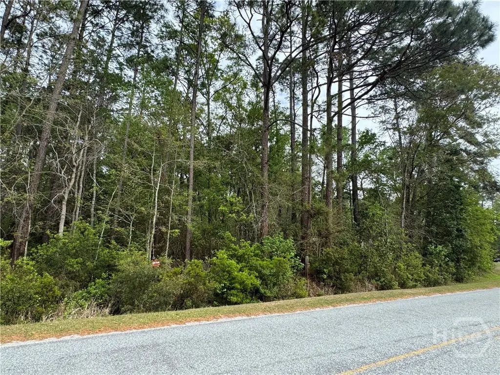 0 (lot A) Oak Street, Rincon